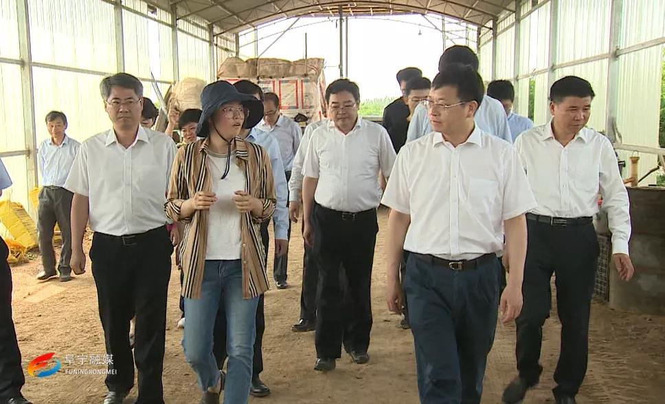 曹路宝来我县调研通榆河沿线环境整治和黄河故道综合开发工作