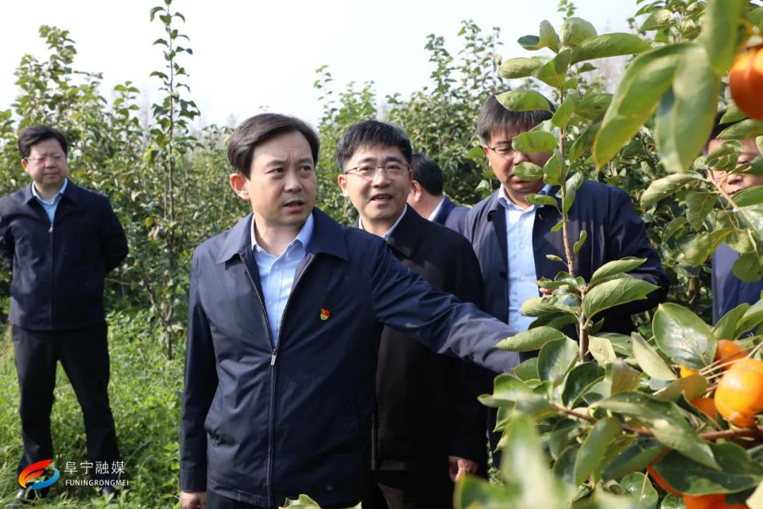 阜宁县人民政府 阜宁要闻 张利华调研黄河故道综合开发暨秋收秋种工作